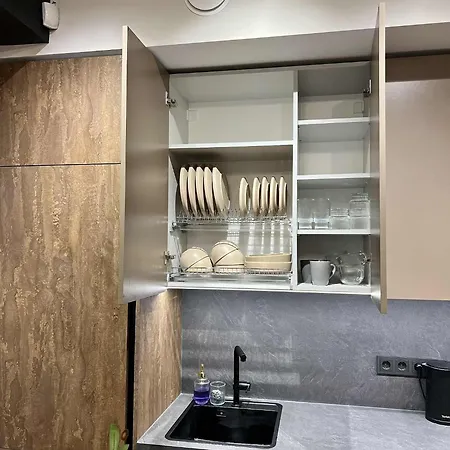 New! Paupys Industrial Aparment, Old Town